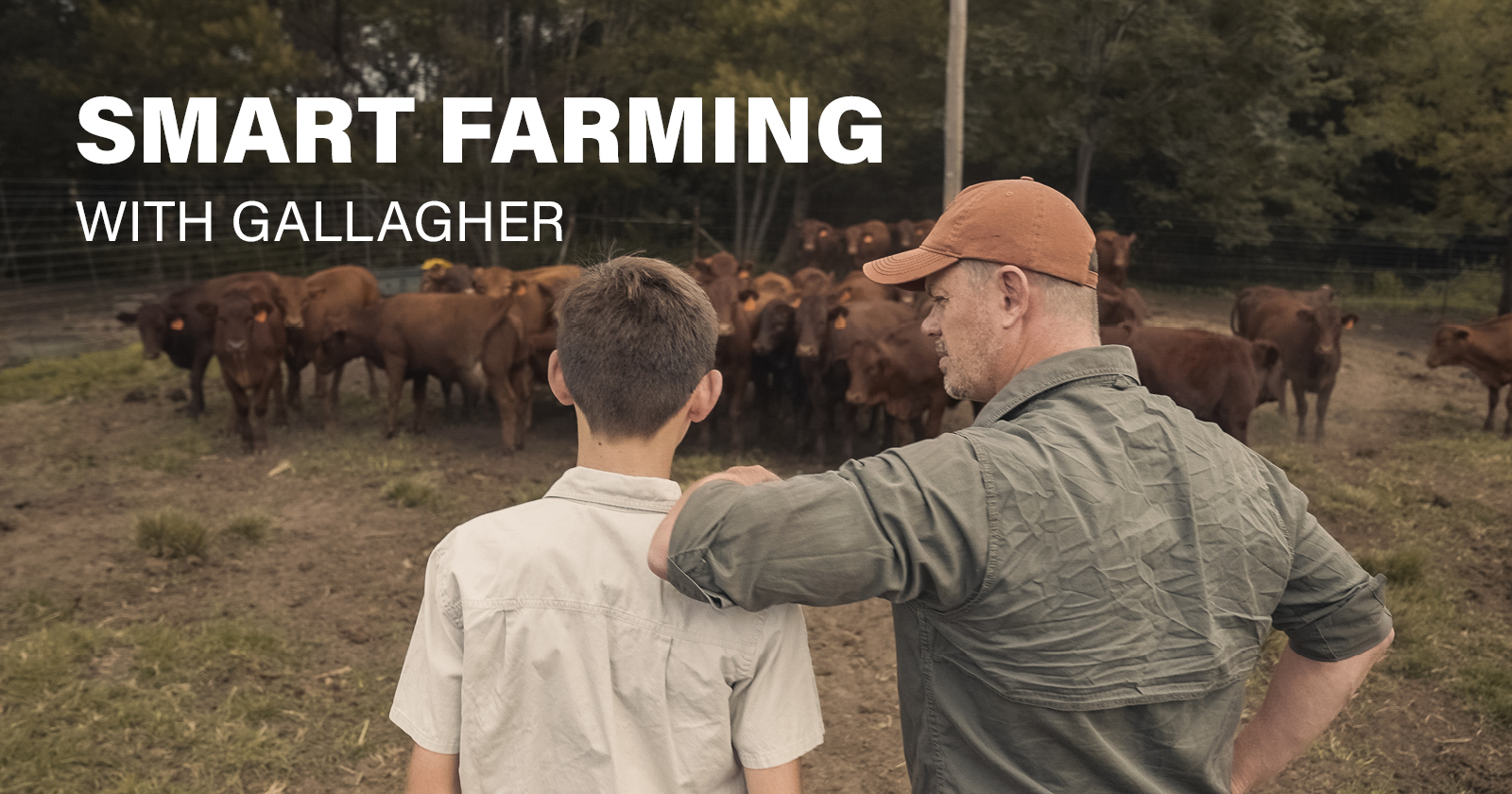 Farm without effort with Gallagher’s smart animal management devices ...