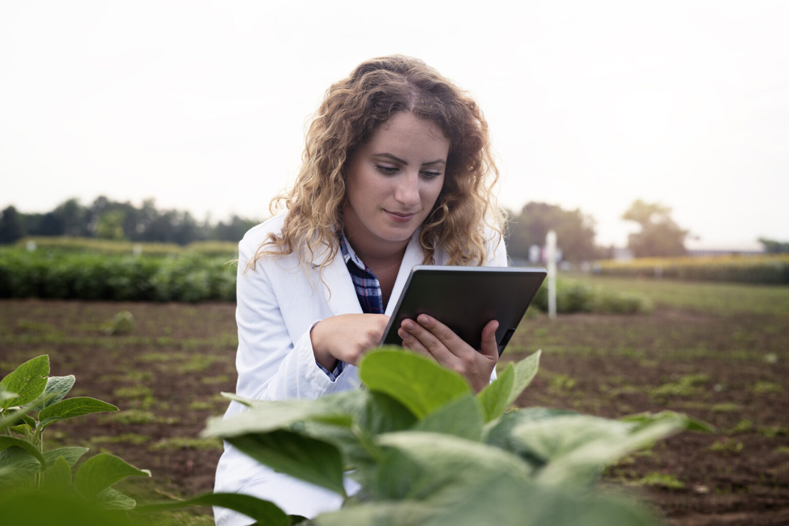 AI, drones and biotechnology will transform agriculture in 2026 ...